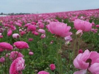 我有一剑最新章节祭拜